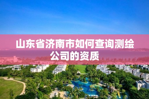 山东省济南市如何查询测绘公司的资质