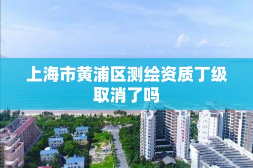 上海市黄浦区测绘资质丁级取消了吗