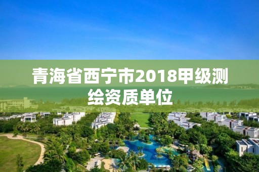 青海省西宁市2018甲级测绘资质单位