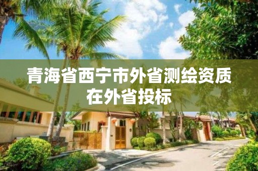 青海省西宁市外省测绘资质在外省投标