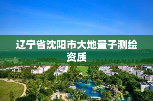 辽宁省沈阳市大地量子测绘资质