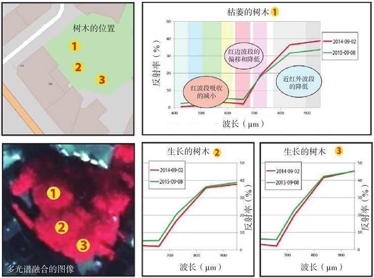 卫星遥感数据是怎样获取的？如何从中提取有用信息？