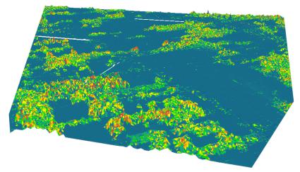 DEM、DSM 和 DTM 的区别——GIS 中的高程模型