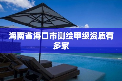 海南省海口市测绘甲级资质有多家