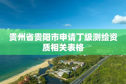 贵州省贵阳市申请丁级测绘资质相关表格