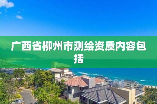 广西省柳州市测绘资质内容包括