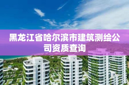 黑龙江省哈尔滨市建筑测绘公司资质查询