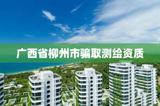 广西省柳州市骗取测绘资质