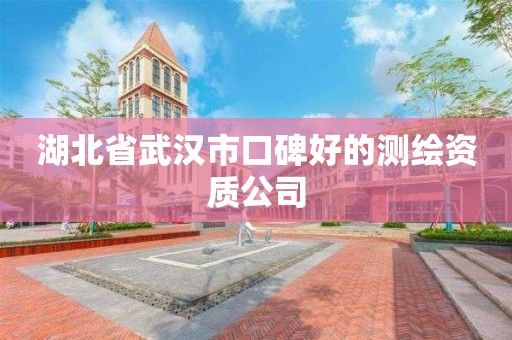 湖北省武汉市口碑好的测绘资质公司