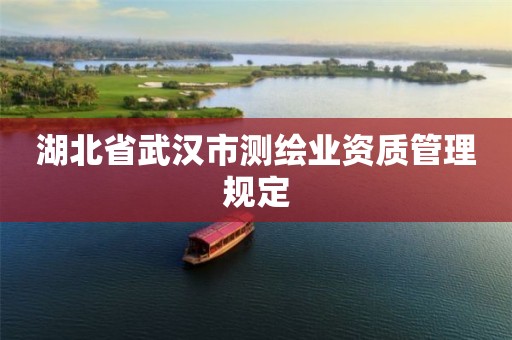 湖北省武汉市测绘业资质管理规定