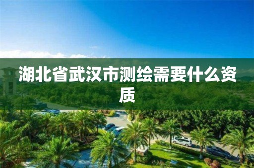 湖北省武汉市测绘需要什么资质