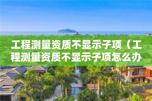 工程测量资质不显示子项（工程测量资质不显示子项怎么办）