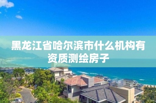 黑龙江省哈尔滨市什么机构有资质测绘房子