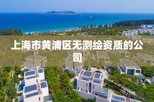 上海市黄浦区无测绘资质的公司