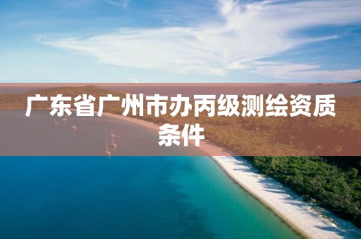 广东省广州市办丙级测绘资质条件