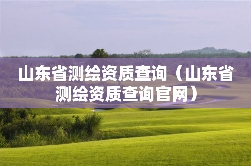 山东省测绘资质查询（山东省测绘资质查询官网）