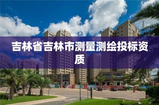 吉林省吉林市测量测绘投标资质