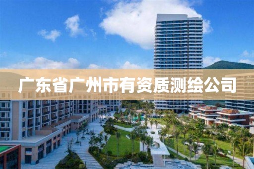 广东省广州市有资质测绘公司