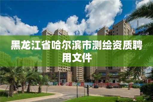 黑龙江省哈尔滨市测绘资质聘用文件