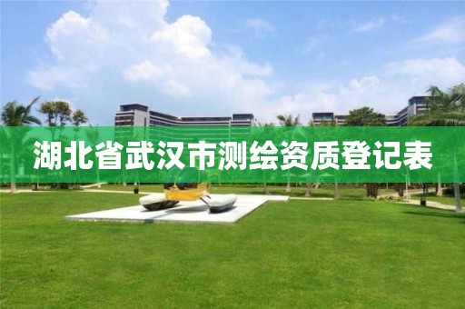 湖北省武汉市测绘资质登记表