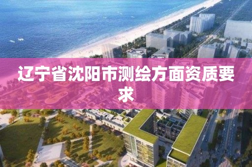 辽宁省沈阳市测绘方面资质要求