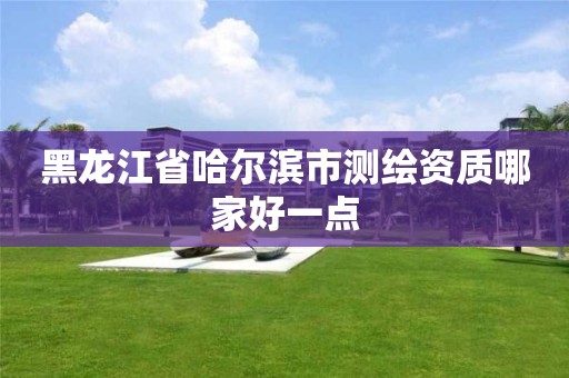 黑龙江省哈尔滨市测绘资质哪家好一点