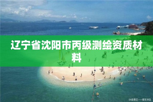 辽宁省沈阳市丙级测绘资质材料