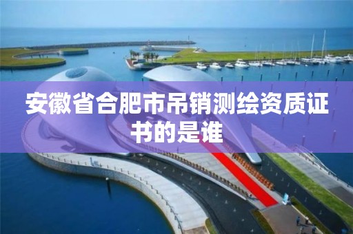 安徽省合肥市吊销测绘资质证书的是谁