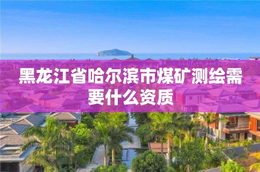 黑龙江省哈尔滨市煤矿测绘需要什么资质