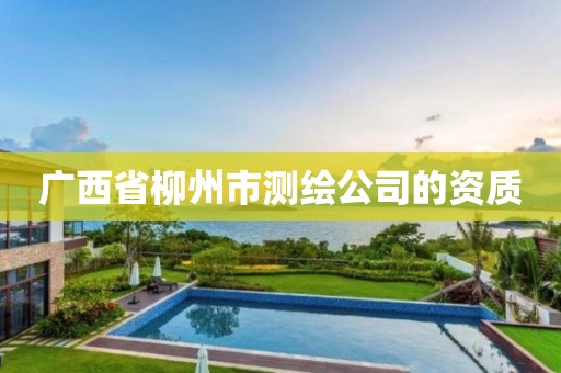 广西省柳州市测绘公司的资质