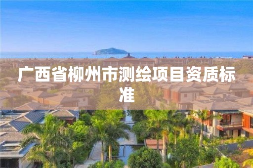 广西省柳州市测绘项目资质标准