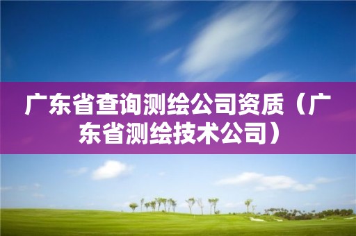 广东省查询测绘公司资质（广东省测绘技术公司）