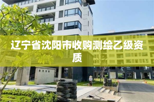 辽宁省沈阳市收购测绘乙级资质