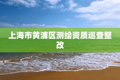 上海市黄浦区测绘资质巡查整改