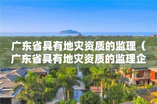 广东省具有地灾资质的监理（广东省具有地灾资质的监理企业）