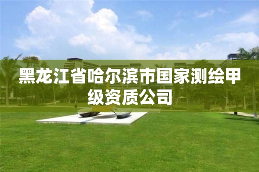 黑龙江省哈尔滨市国家测绘甲级资质公司