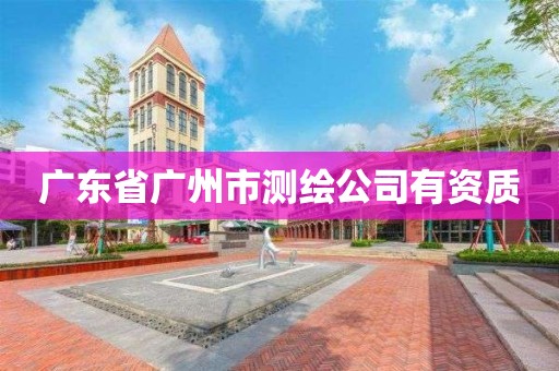 广东省广州市测绘公司有资质