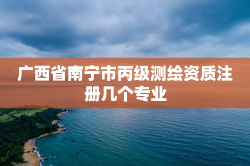 广西省南宁市丙级测绘资质注册几个专业