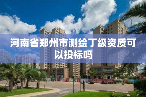 河南省郑州市测绘丁级资质可以投标吗