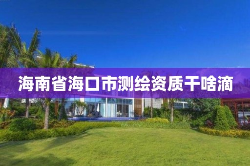 海南省海口市测绘资质干啥滴