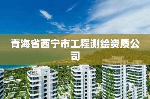 青海省西宁市工程测绘资质公司