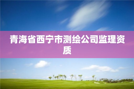 青海省西宁市测绘公司监理资质