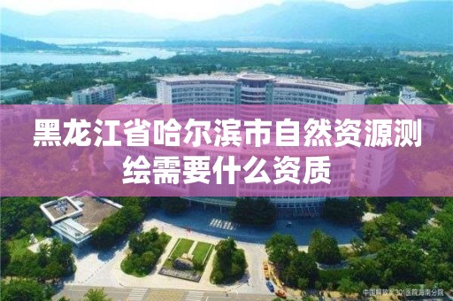 黑龙江省哈尔滨市自然资源测绘需要什么资质