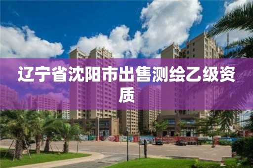 辽宁省沈阳市出售测绘乙级资质