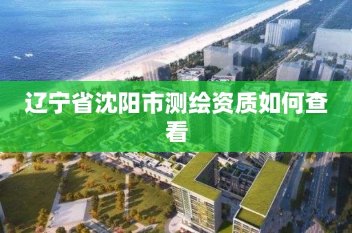 辽宁省沈阳市测绘资质如何查看