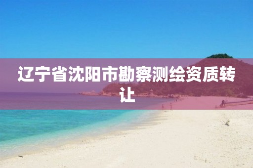 辽宁省沈阳市勘察测绘资质转让