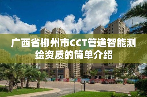 广西省柳州市CCT管道智能测绘资质的简单介绍