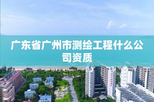 广东省广州市测绘工程什么公司资质