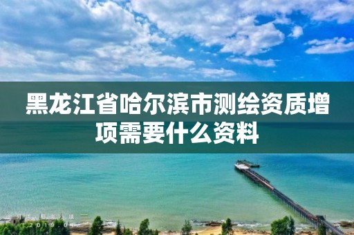 黑龙江省哈尔滨市测绘资质增项需要什么资料