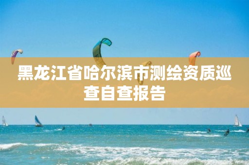 黑龙江省哈尔滨市测绘资质巡查自查报告